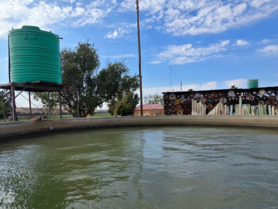 3 Bedroom Property for Sale in Upington Rural Northern Cape